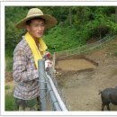 배산말농장 이미지