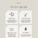앙방