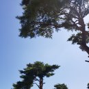 프리스틴밸리G.C | 파주 노스팜cc 후기 ㅡ (구)파주프린스톤밸리cc