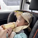 제주요요베베 | 아기 제주도 여행 준비물 | 렌트카 카시트 유모차 대여 솔직 후기 (6개월 아기)