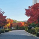 해밀부동산공인중개사사무소 이미지