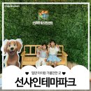 반딧불2 | 밀양 선샤인테마파크 가볼만한곳 주차, 입장팁, 체험별 안내