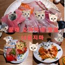 오토베이(주) | 문래 맛집 냐옹지마 예약방법 2부 디너 사케 추천후기