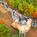 여기가 '한국의 베트남'이라고" 4050세대가 반한 해발 750m 힐링 명소 이미지