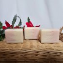 마이펫스토어 이미지