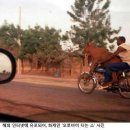 대박오토바이 이미지