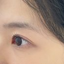 [울산 북구 명촌동 속눈썹 추천] 뽀짝함 한도 초과! 꼼꼼함까지 다 갖춘 '쪼꼬미 뷰티' 속눈썹펌 후기