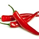 J2M SPORTS 이미지