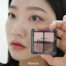 73 | 다이소 딘트 73 리틀 살로메 아이 팔레트 솔직 후기