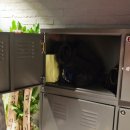 홍진호한의원 이미지