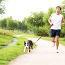 행복한 산책 이미지