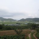 벌교읍사무소 이미지