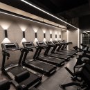 더베스트짐 이미지