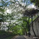 [서울 신림동 디저트 카페 추천] 읍천리382 신림점, 달달한후기