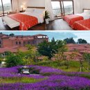 (주)윈드밸리 이미지