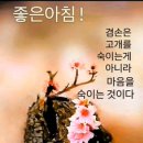 대부해솔길 3코스 이미지