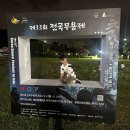 제33회 전국무용제 | 제주전국무용제 | 무료 공연 정보