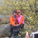 대장농원 이미지