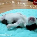 복 이미지