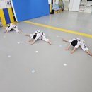 용인대석사2태권도 이미지