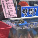 여수금오도 건어물 네이버블로그