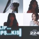 224 이미지