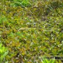 장속농장 이미지