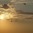 세보한의원 이미지