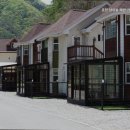 춘천남이섬애견가족전원마을펜션 네이버블로그