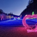 힐링 토마토 사우나 | 스테이 힐링파크 놀거리 추천, 온천 사우나, 나인블럭...알파와 앵무 동물원, 정보, 운영시간 방문 후기