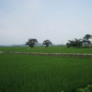 신두리해수욕장 이미지