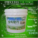 [판매] 거실벽 화사하게 칠하려던 '숲속향기 페인트 10L(12kg)' 판매합니다-가격흥정가능!!! 이미지