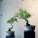 소유산 - 강화군 남문안길 31 | 소유산