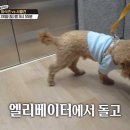 나오치과 네이버블로그
