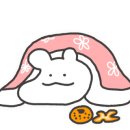 돌핀웨일대구노리터 이미지