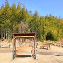 관아공원화장실 이미지