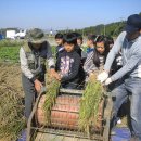 선배네농장 이미지