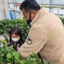 가덕농장 이미지