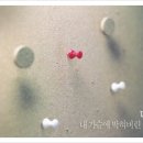 다시사랑 Daum카페