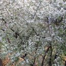 상미농장 이미지