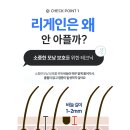 리게인프로젝트 부산점 이미지