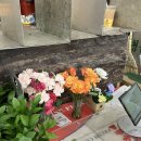 호남선 농장 이미지