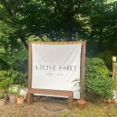 리틀포레 이미지