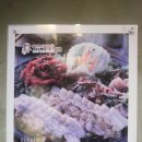 미스터보쌈5379부산화명점 | 부산 화명동 맛집 추천! 미스터보쌈 ♥