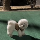 설기다움 이미지