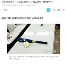 서울시 학폭위, "숭의초 재벌손자, 학교폭력 가해자 아냐" 이미지