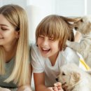 위드랜드 평창 이미지