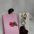 창이가 들려주는 지구이야기 | 내 살갗이 벗겨져 나간 자리엔,