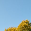 말구리농장 이미지