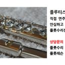 소피아플룻수리